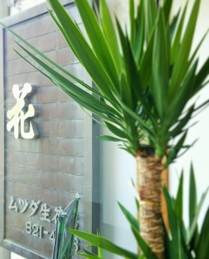 「ムツダ生花店」　（愛知県名古屋市南区）の花屋店舗写真1