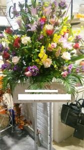 イオンモール新瑞橋にスタンド、胡蝶蘭をお届けしました。｜「ムツダ生花店」　（愛知県名古屋市南区の花キューピット加盟店 花屋）のブログ