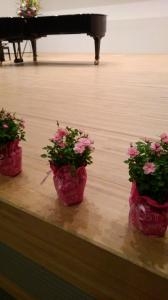 ピアノ発表会の舞台用にスタンド花と花鉢をお届けしました 花屋ブログ 愛知県名古屋市南区の花屋 ムツダ生花店にフラワーギフトはお任せください 当店は 安心と信頼の花キューピット加盟店です 花キューピットタウン
