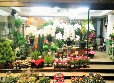 「ムツダ生花店」　（愛知県名古屋市南区）の花屋店舗写真4